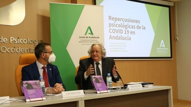 Más de la mitad de los andaluces sufre mayor malestar psicológico que antes de la pandemia del Covid