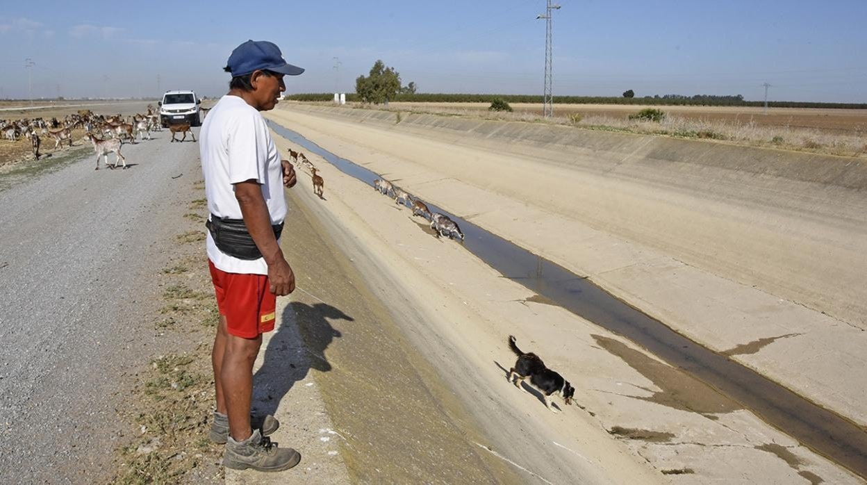 Canal de riego donde apenas llega agua