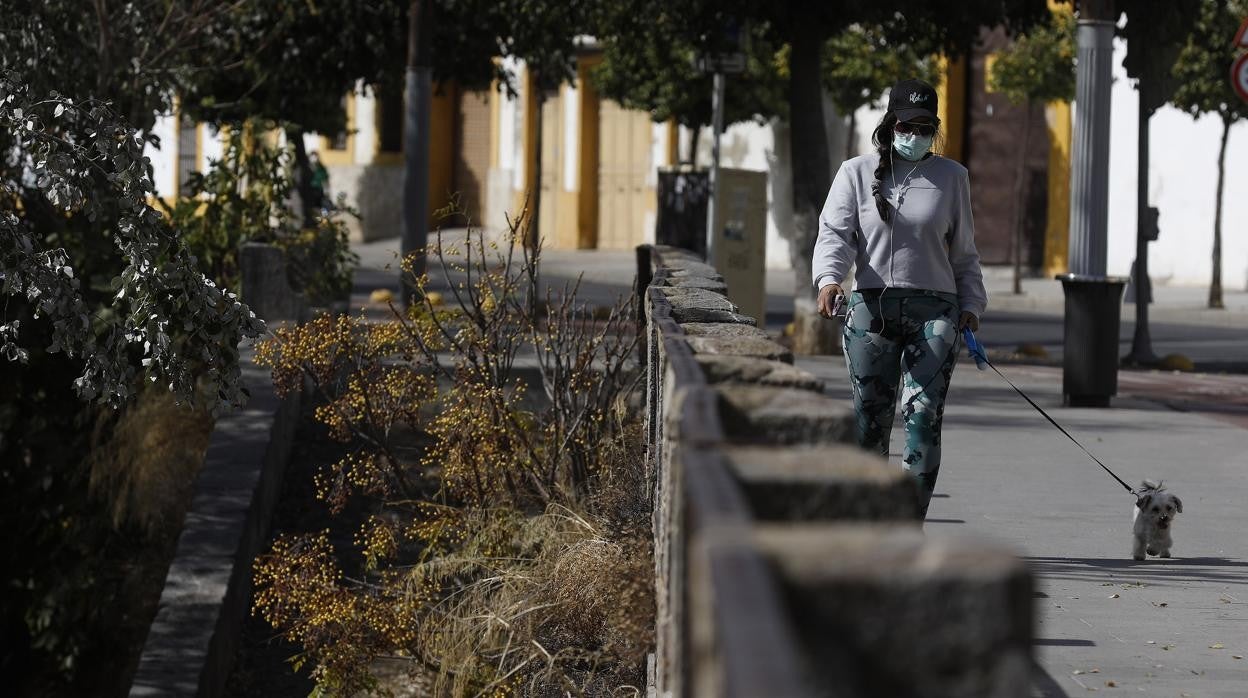 Una mujer pasea con su perro por la Ribera de Córdoba