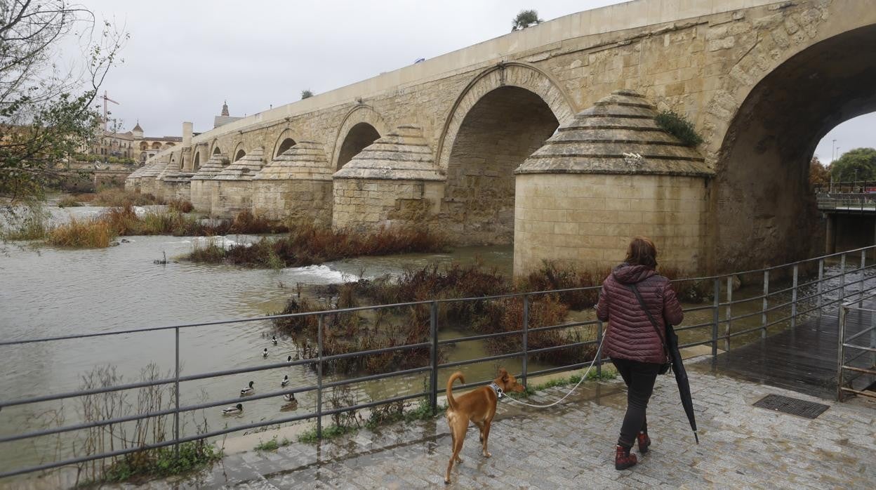 Una mujer pasea junto al río, bajo el Puente Romano de Córdoba