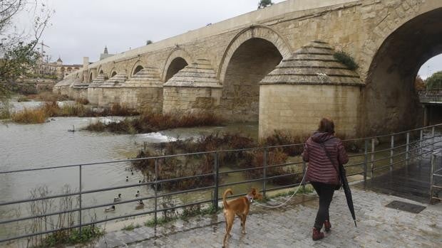 Córdoba vivirá un jueves de temperaturas casi estables y la lluvia podría asomarse tímidamente por la tarde