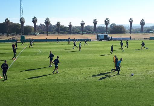 La plantilla del Córdoba entrena este martes en el campo principal