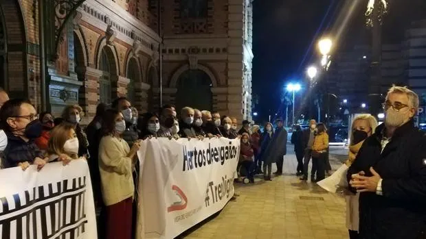 Almería vuelve a salir a la calle para protestar contra el aislamiento ferroviario