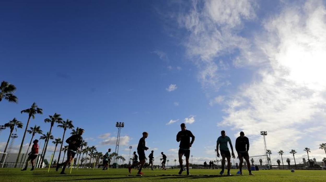 Entrenamiento en la Ciudad Deportiva del Córdoba CF