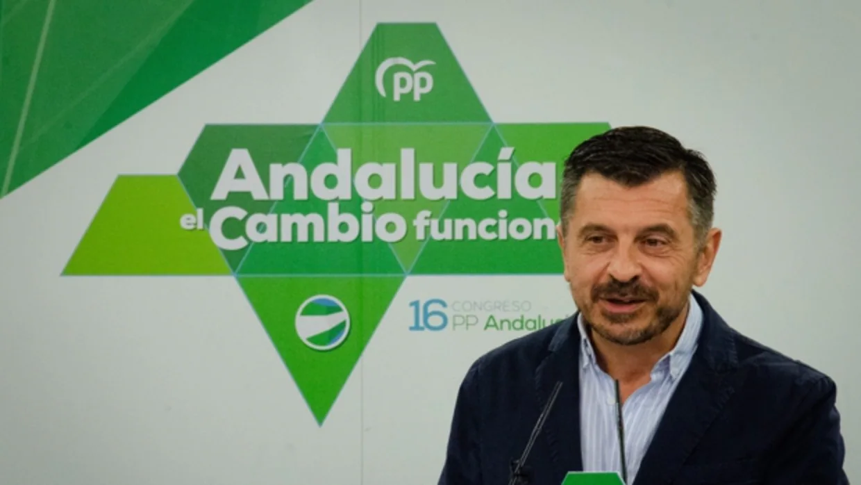 Toni Martín, vicesecretario general del PP Andalucía