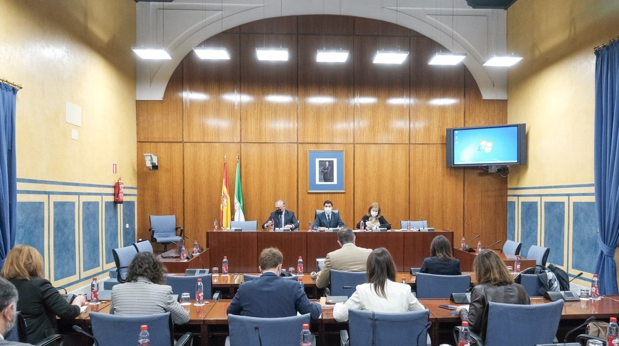 Imagen de la primera comparecencia de la sesión de este martes de la Comisión de investigación de la Faffe en el Parlamento andaluz