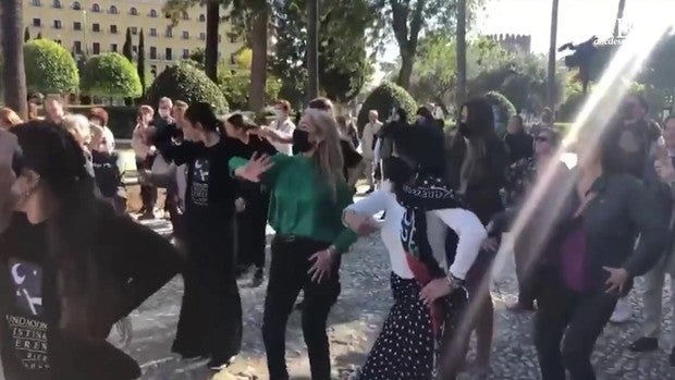 La presidenta de la Cámara y la consejera de Cultura se arrancan a bailar flamenco en el Parlamento