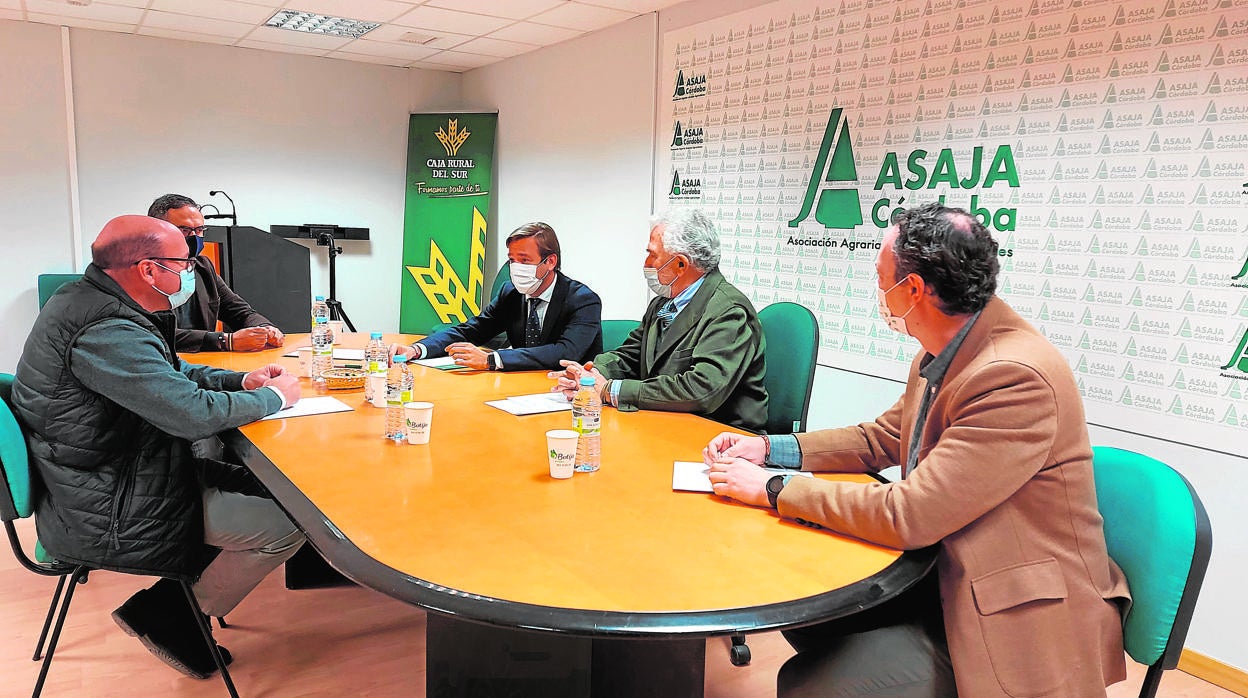 Encuentro del delegado del Gobierno de la Junta con la directiva de Asaja Córdoba