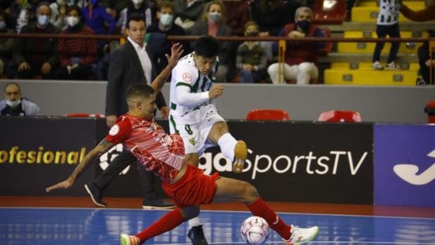 El Córdoba Patrimonio cae ante El Pozo (1-4)