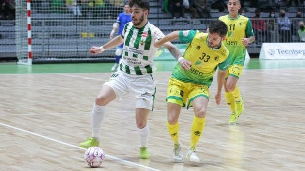 El Córdoba Patrimonio sufre y cede en Jaén (6-2)