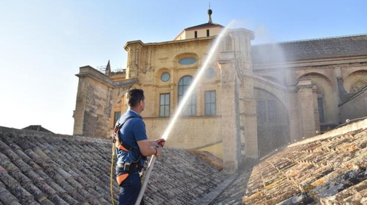 El edificio se somete a simulacros de incendio de forma periódica