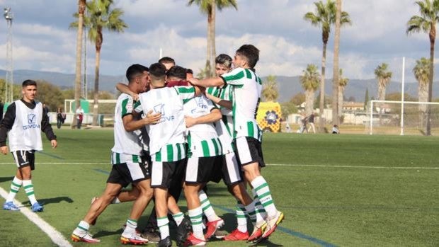 La agenda polideportiva del día de la Inmaculada en Córdoba