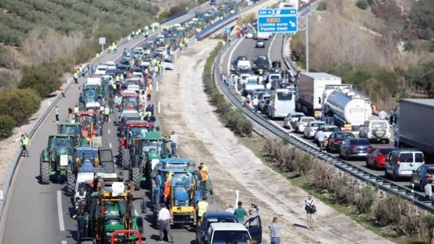 Cuatro causas para la 'tractorada' de los agricultores y ganaderos de Córdoba el 21 de diciembre