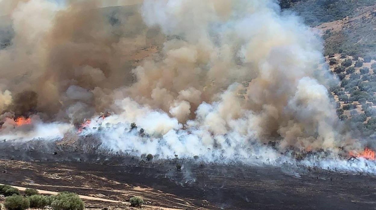 Incendio en la Sierra de Cabra este verano