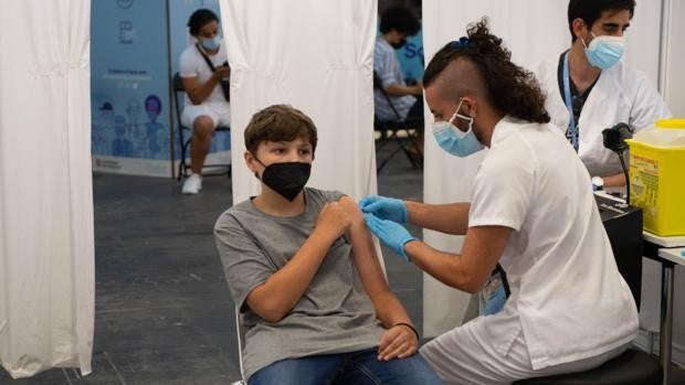 Vacunación Covid para niños | Las preguntas más frecuentes sobre la campaña de inoculación