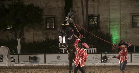 Córdoba Ecuestre es una de las entidades distinguidas por la UCO