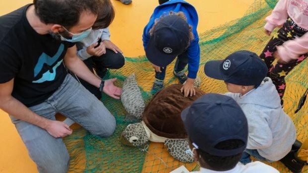 Más de cien personas pasan por los talleres para la conservación y rescate de tortugas marinas