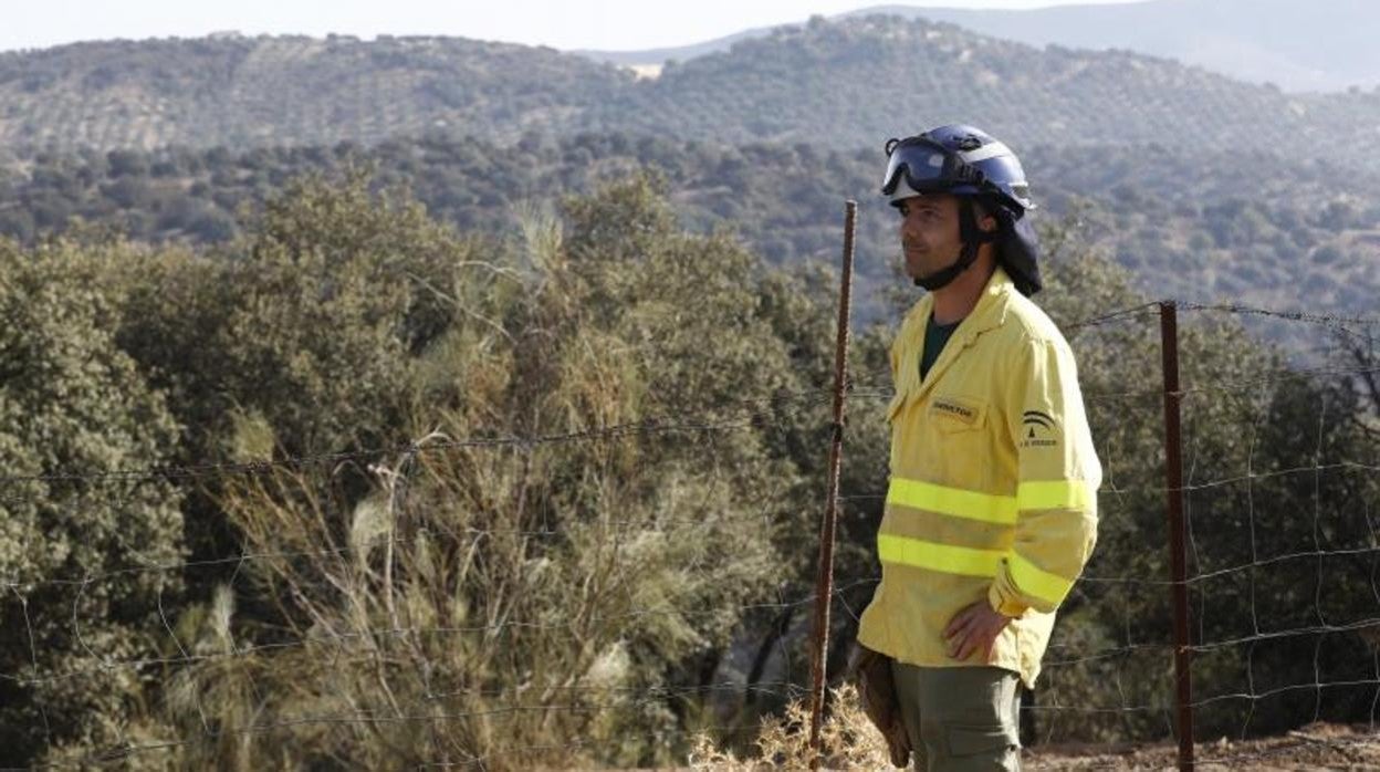 Labores de extinción del incendio de Alcaracejos