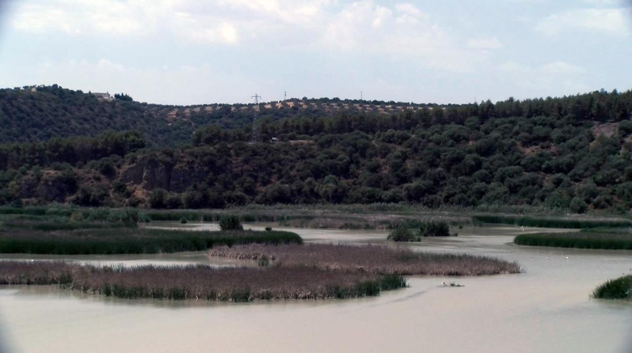 Estado actual del embalse Cordobilla en Puente Genil