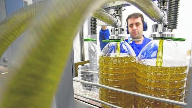 Las exportaciones de aceite virgen extra de Córdoba crecen un 31% este año