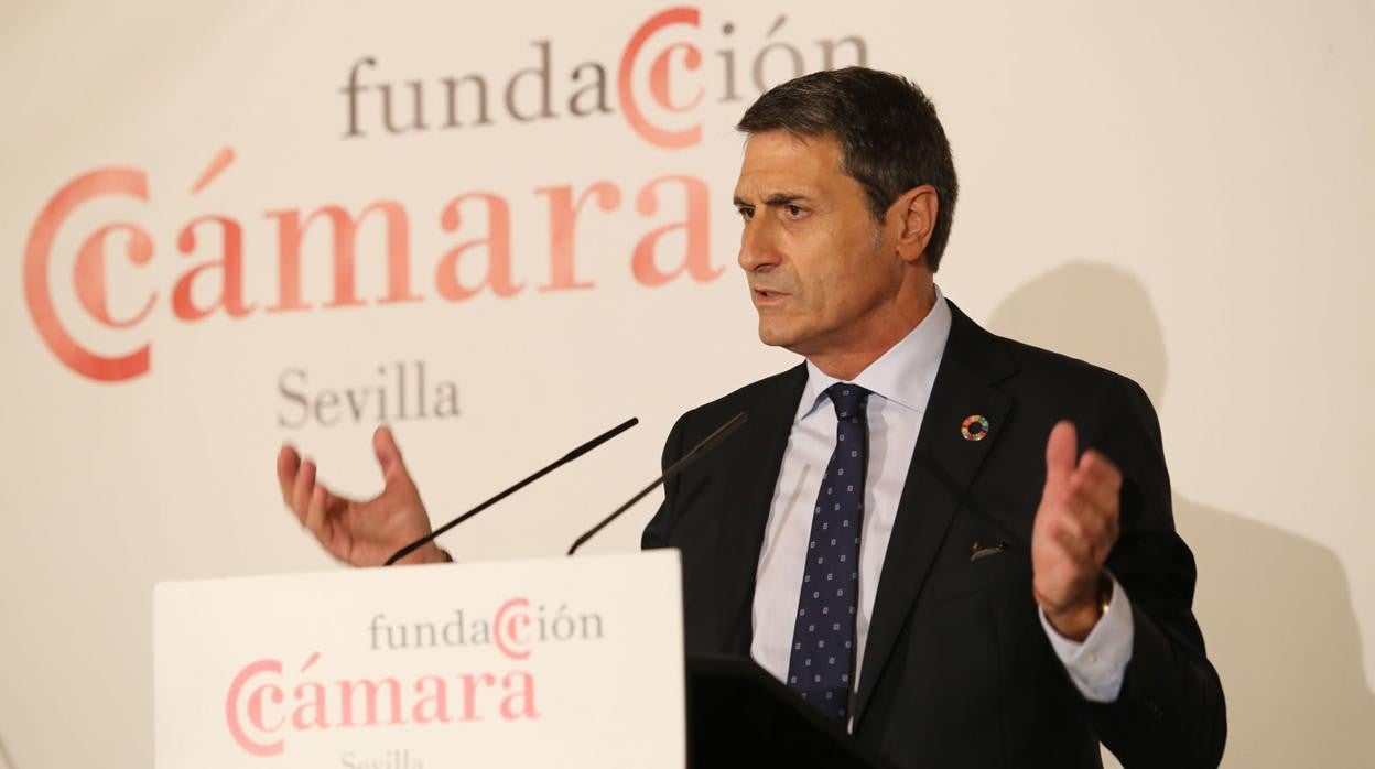 El delegado del Gobierno en Andalucía, Pedro Fernández