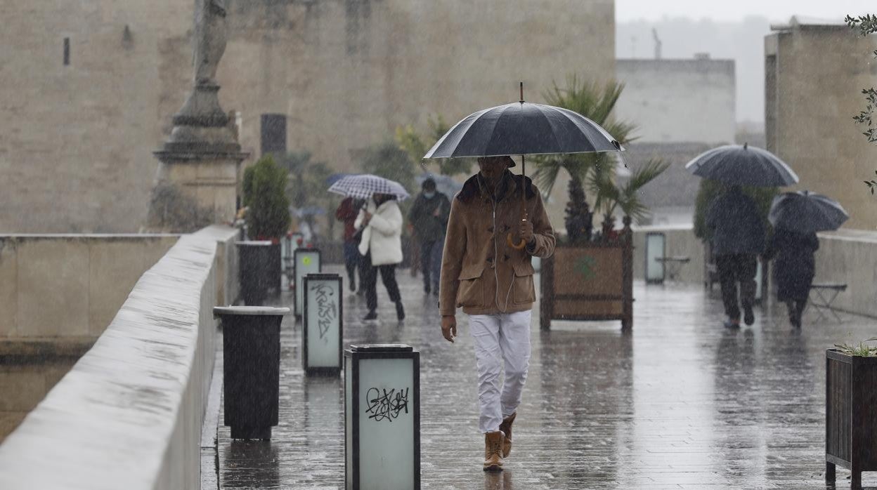 Varias personas transitan con paraguas, en medio de la lluvia, el Puente Romano de Córdoba