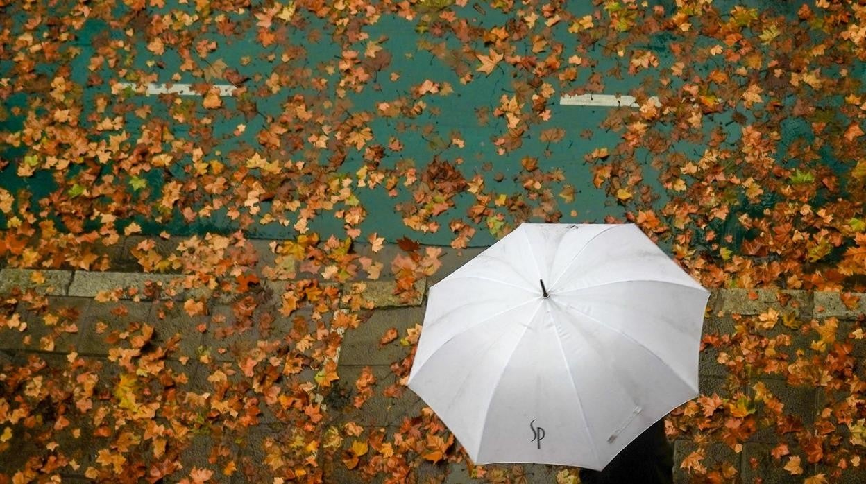 Un viandante camina con el paraguas para protegerse de la lluvia