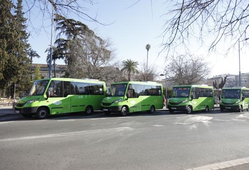 Los cuatro minibuses adquiridos