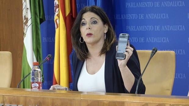 El PSOE andaluz mantendrá por ahora a su concejal de Jerez investigado por su 'enchufe' en la Faffe