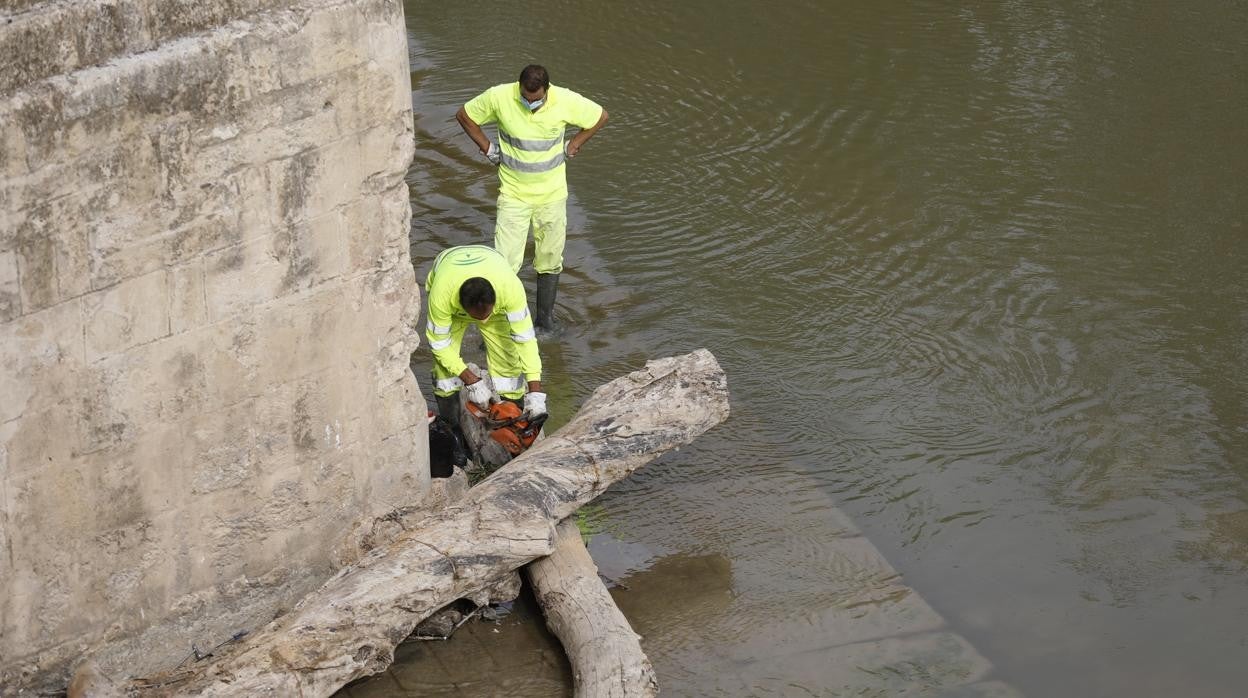 Trabajadores limpian el cauce junto al Puente Romano