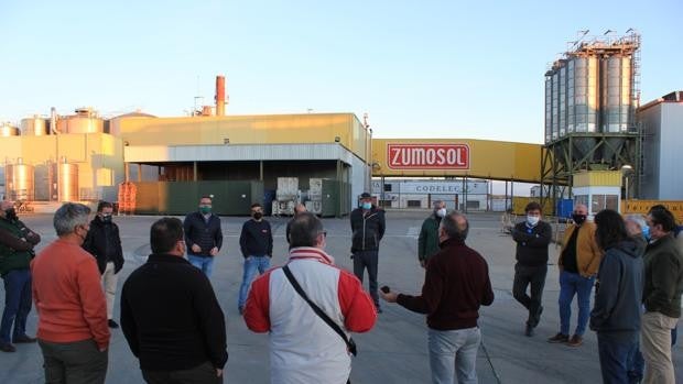 La Asociación Palmanaranja muestra su apoyo a los trabajadores de Zumosol de Palma del Río (Córdoba)