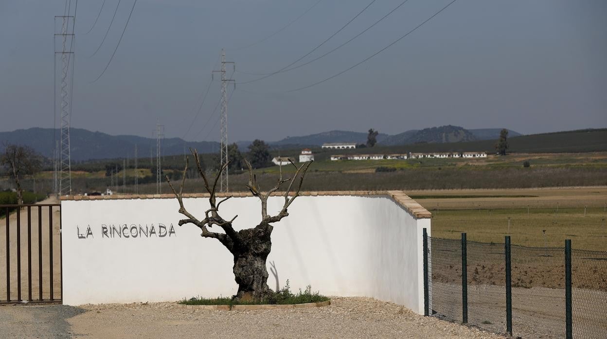 La Base Logística se levantará en Córdoba, sobre los suelos de La Rinconada