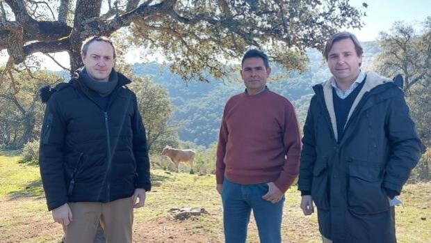 La Junta concede ocho incentivos a ganaderías de toro de lidia en Córdoba