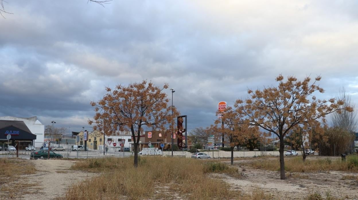 Terreno de uso público en Lucena