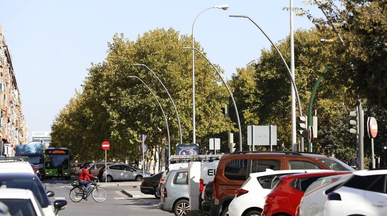 Luminarias de la zona supuestamente troceada en la avenida de Libia