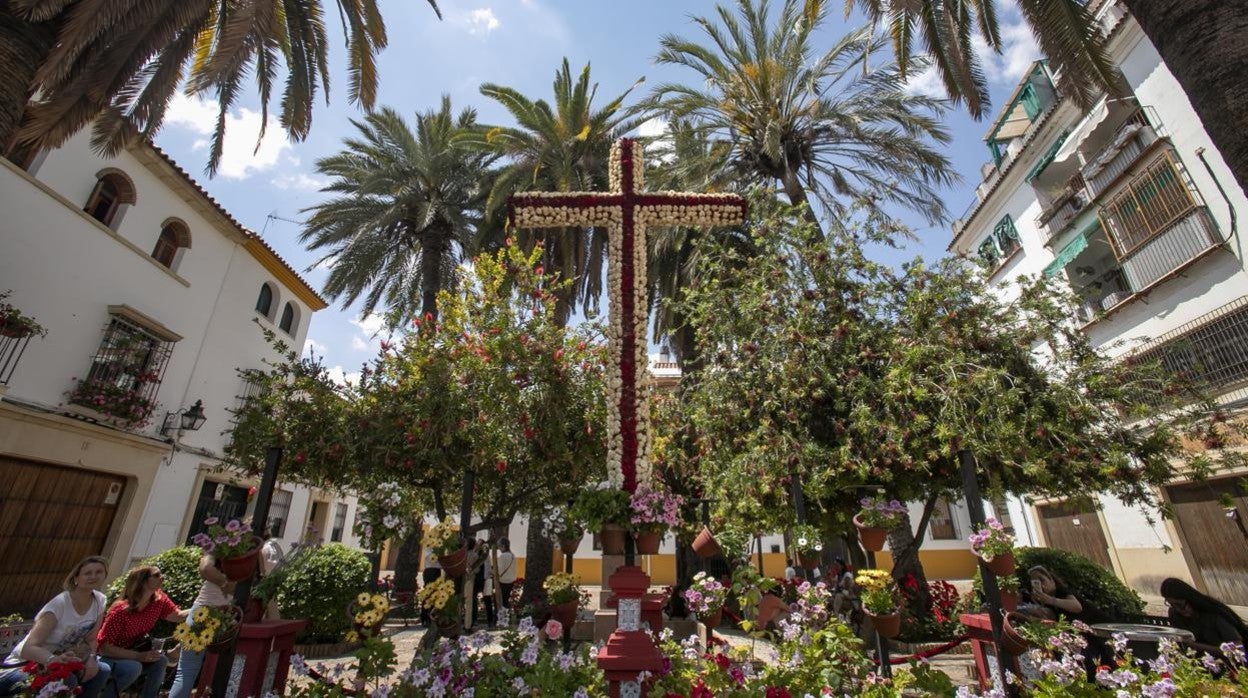 Cruces de Mayo de 2019