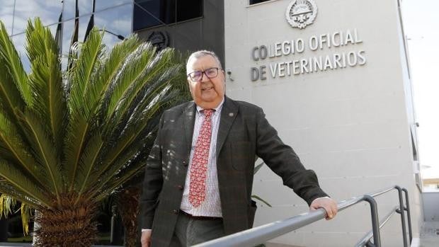 Antonio Arenas, presidente de los veterinarios de Córdoba: «El nivel de las explotaciones es magnífico»