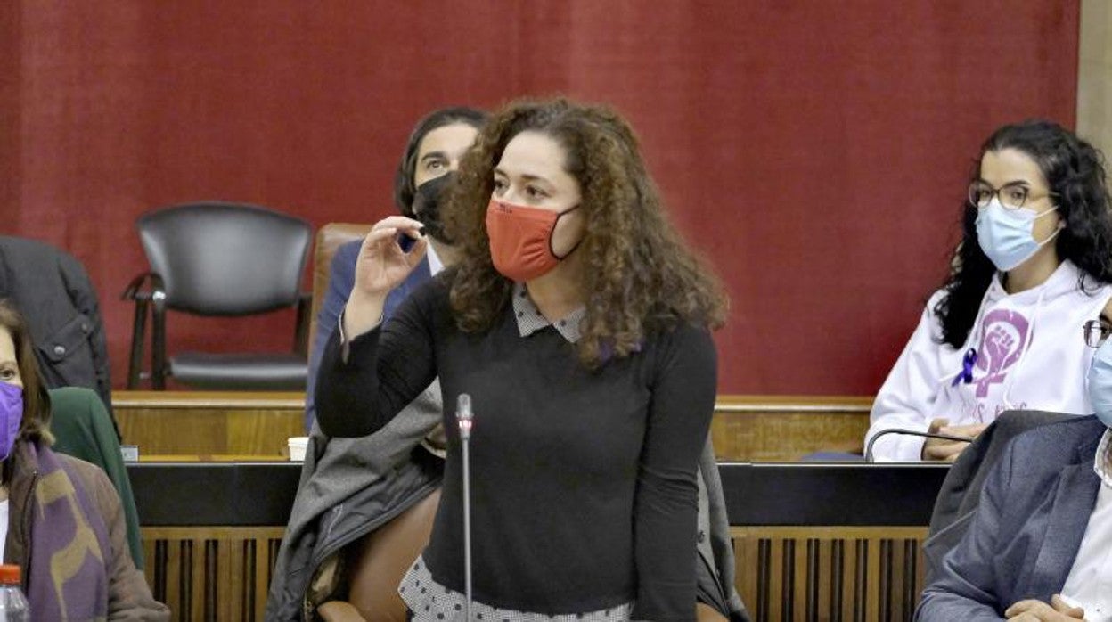 Inmaculada Nieto, portavoz de Unidas Podemos, desde su escaño en el Parlamento andaluz