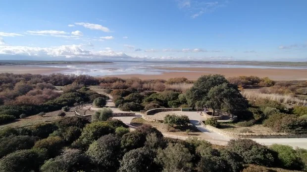 La sequía vuelve a amenazar a las colonias de flamencos en la Laguna de Fuente de Piedra
