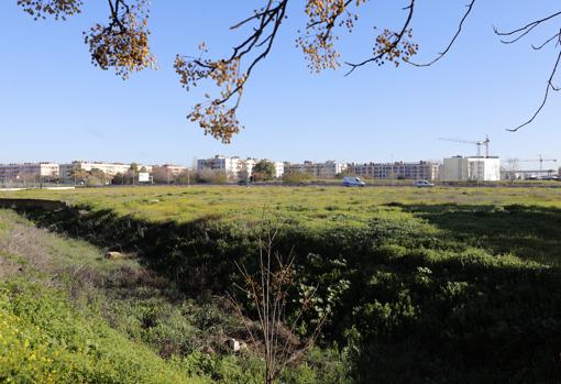 Parte de los suelos sobre los que el Consistorio hará el parque 'Poniente-Miralbaida'