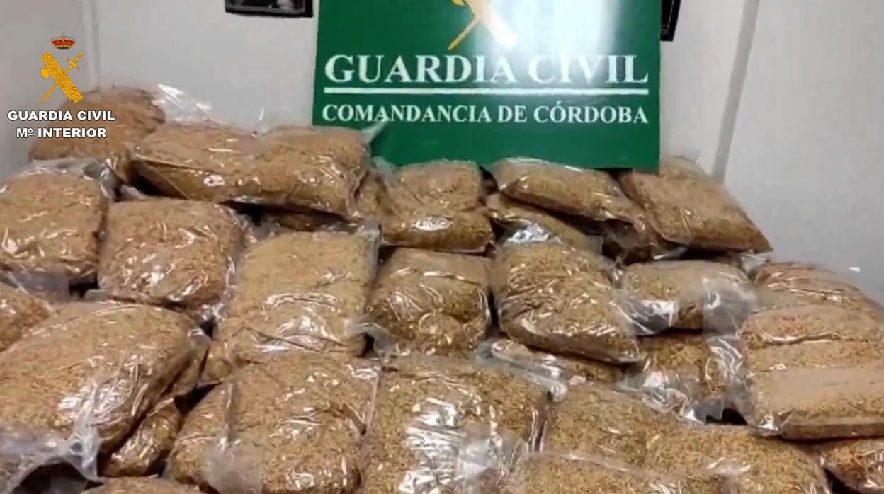 Bolsas con picadura de tabaco intervenidas