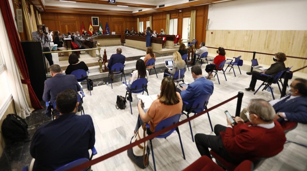 Imagen de un Pleno del Ayuntamiento de Córdoba durante la pandemia