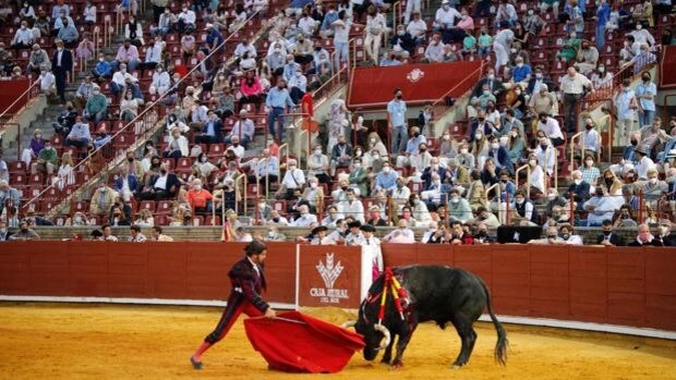Toros en Córdoba | La Feria de Mayo se adelanta al primer fin de semana con tres corridas