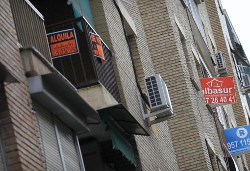 Carteles de alquiler de viviendas en el casco urbano de Córdoba