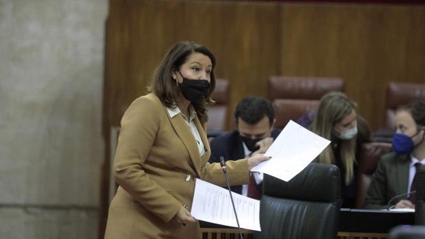 El Gobierno salva la Ley de Economía Circular con el apoyo de PSOE y Unidas Podemos