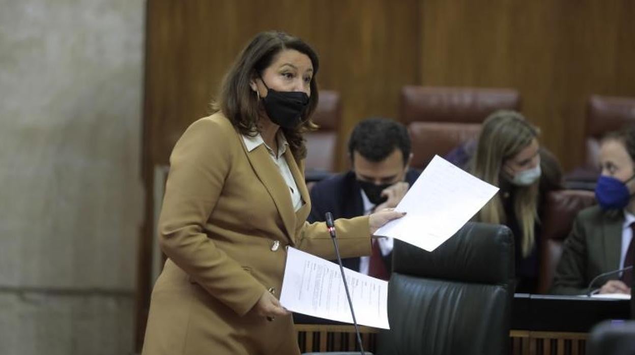 La Consejera de Agricultura, Carmen Crespo, defendiendo la Ley de Economía Circular en el Parlamento