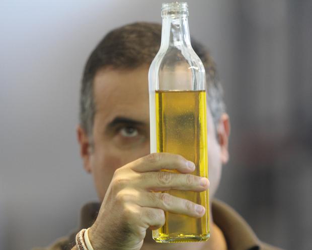 'Oliva: ¿oro líquido?', por Miguel Ángel Martínez-González (*)