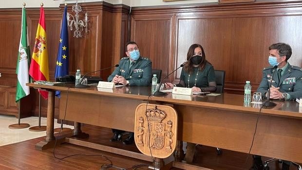 Desarticulada en Jaén una red de estafadores por internet con la detención de 19 personas