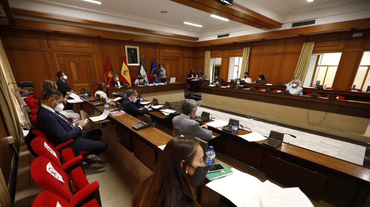 Imagen de la sesión de un Pleno del Ayuntamiento de Córdoba