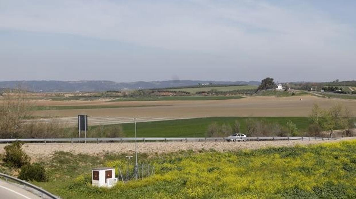 Terrenos de La Rinconada, la zona donde se levantará la Base Logística